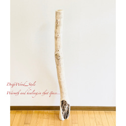 流木インテリア 置いて飾るだけで癒される大型流木 無垢の流木 流木スタンド 置物 北欧 木材 癒し N3 2枚目の画像