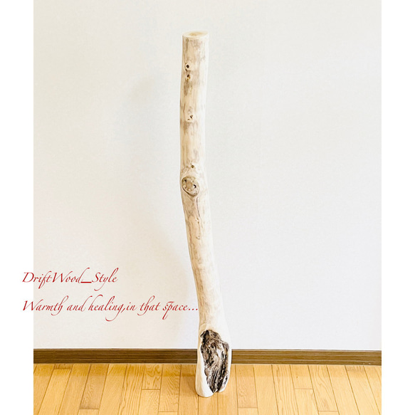 流木インテリア 置いて飾るだけで癒される大型流木 無垢の流木 流木スタンド 置物 北欧 木材 癒し N3 2枚目の画像