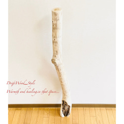 流木インテリア 置いて飾るだけで癒される大型流木 無垢の流木 流木スタンド 置物 北欧 木材 癒し N3 5枚目の画像