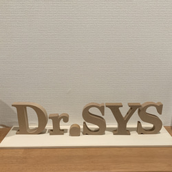 ラプンツェルカラーイニシャルオブジェとウエルカムオブジェのセット