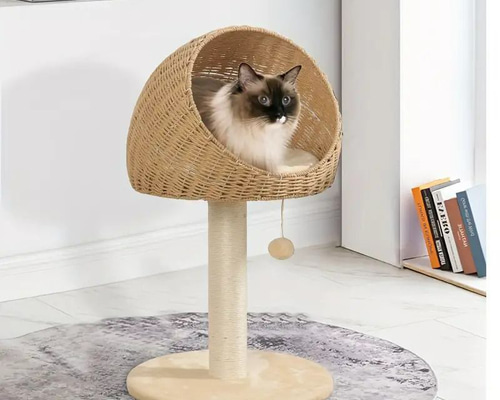 ゆうはる♡リピーター様リクエスト　猫　オーナメント　キャット 悠(はるか) on X: 