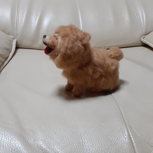 羊毛フェルト チャウチャウ犬 羊毛フェルト Kingこうた 通販