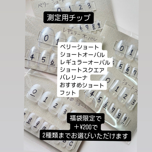 ハッピーバック2026 デザイン選べる 福袋 ネイルチップ 新春福袋