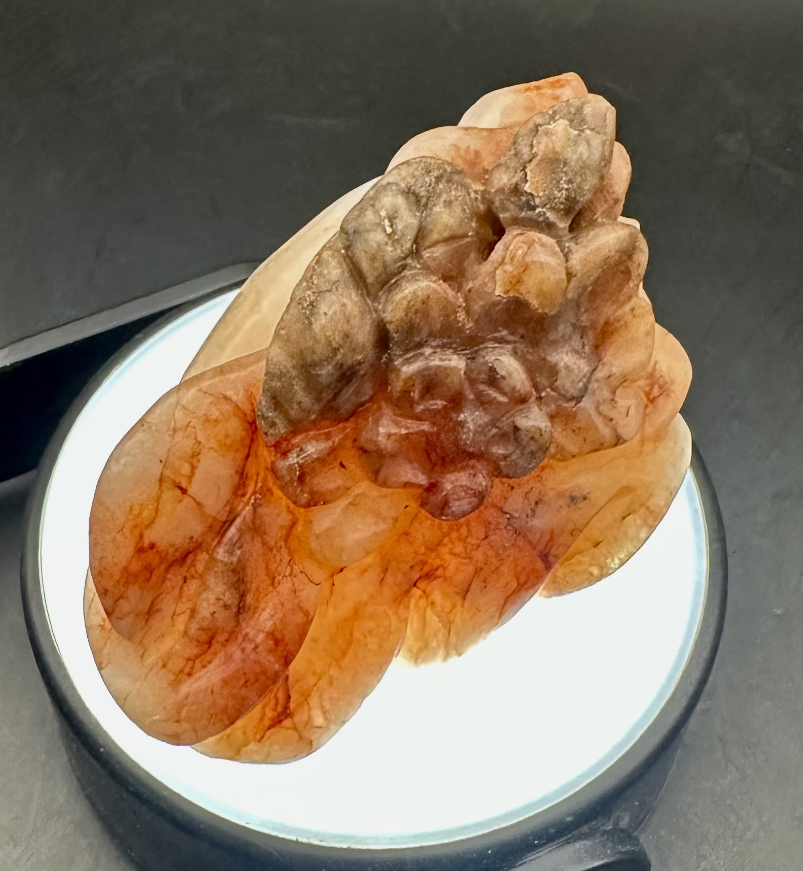 2024.12.5最新作品　財守花畑九尾天狐お香立て｜詳細画像