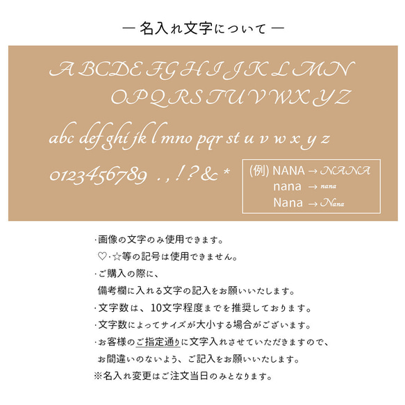 カラーリアケース 【 縦開き カードケース ミラー付き 】 オーバルプレート 名入れ 刻印 JA26A 14枚目の画像