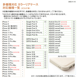 カラーリアケース 【 縦開き カードケース ミラー付き 】 オーバルプレート 名入れ 刻印 JA26A 10枚目の画像