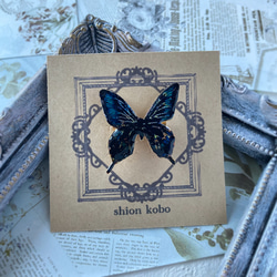 モルフォ蝶の小さな絵 - Morpho sulcowsky- /原画 アンティーク