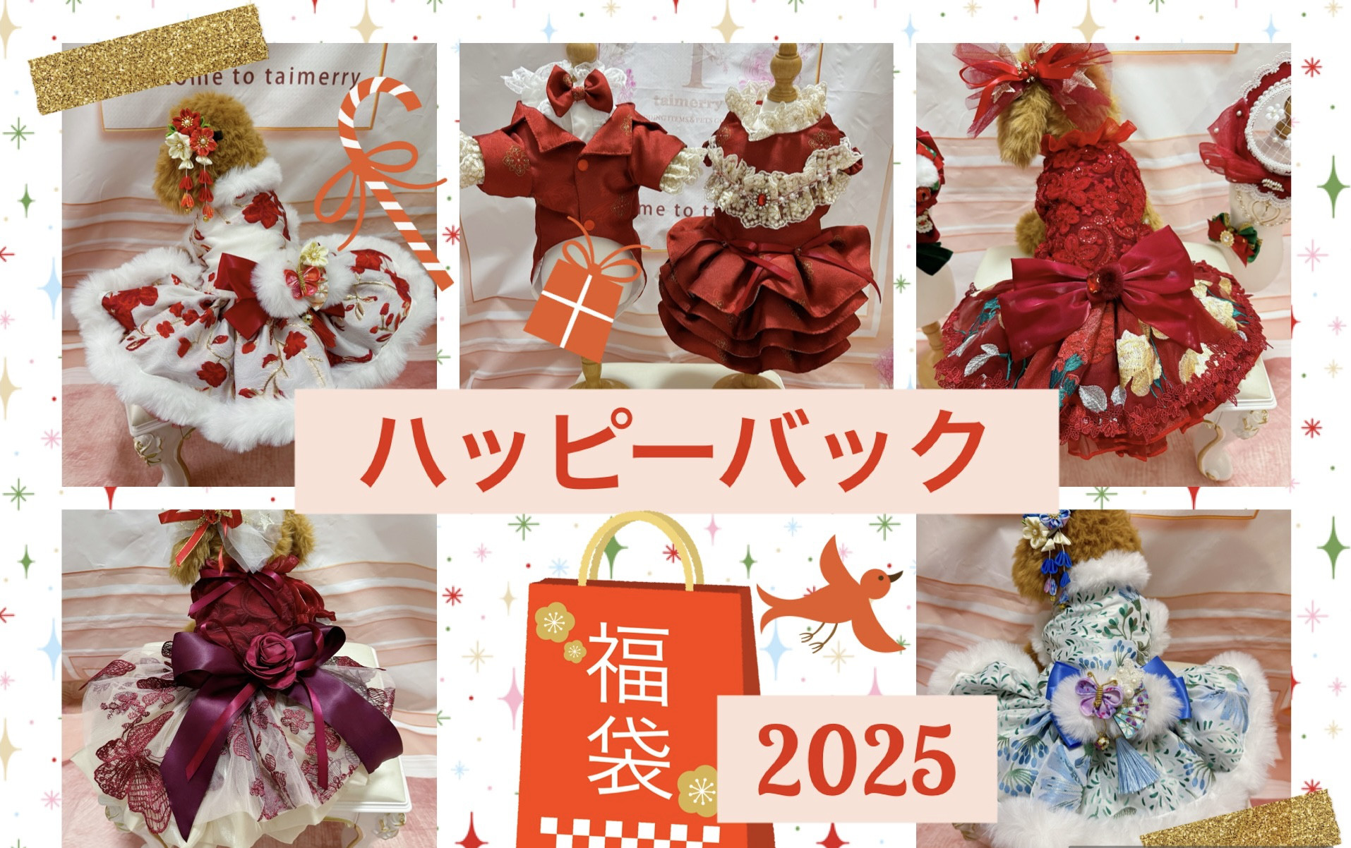 犬猫うさちゃん服　ハッピーバック　2025  お洋服＆ドレス5点セット