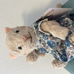 日本未上陸⭐︎ウォルドルフ　自然素材 羊毛人形　Twila 日本未上陸⭐︎ウォルドルフ 自然素材 羊毛人形 Twila - メルカリ