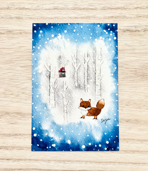 透明水彩画原画白薔薇ホワイトクリスマス 透明水彩画原画白薔薇ホワイトクリスマス