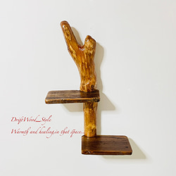 流木インテリア 自由にアレンジできる流木板のウォールシェルフ ラック ディスプレイ 壁掛け 棚 北欧 N2 5枚目の画像