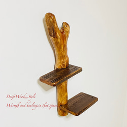 流木インテリア 自由にアレンジできる流木板のウォールシェルフ ラック ディスプレイ 壁掛け 棚 北欧 N2 6枚目の画像