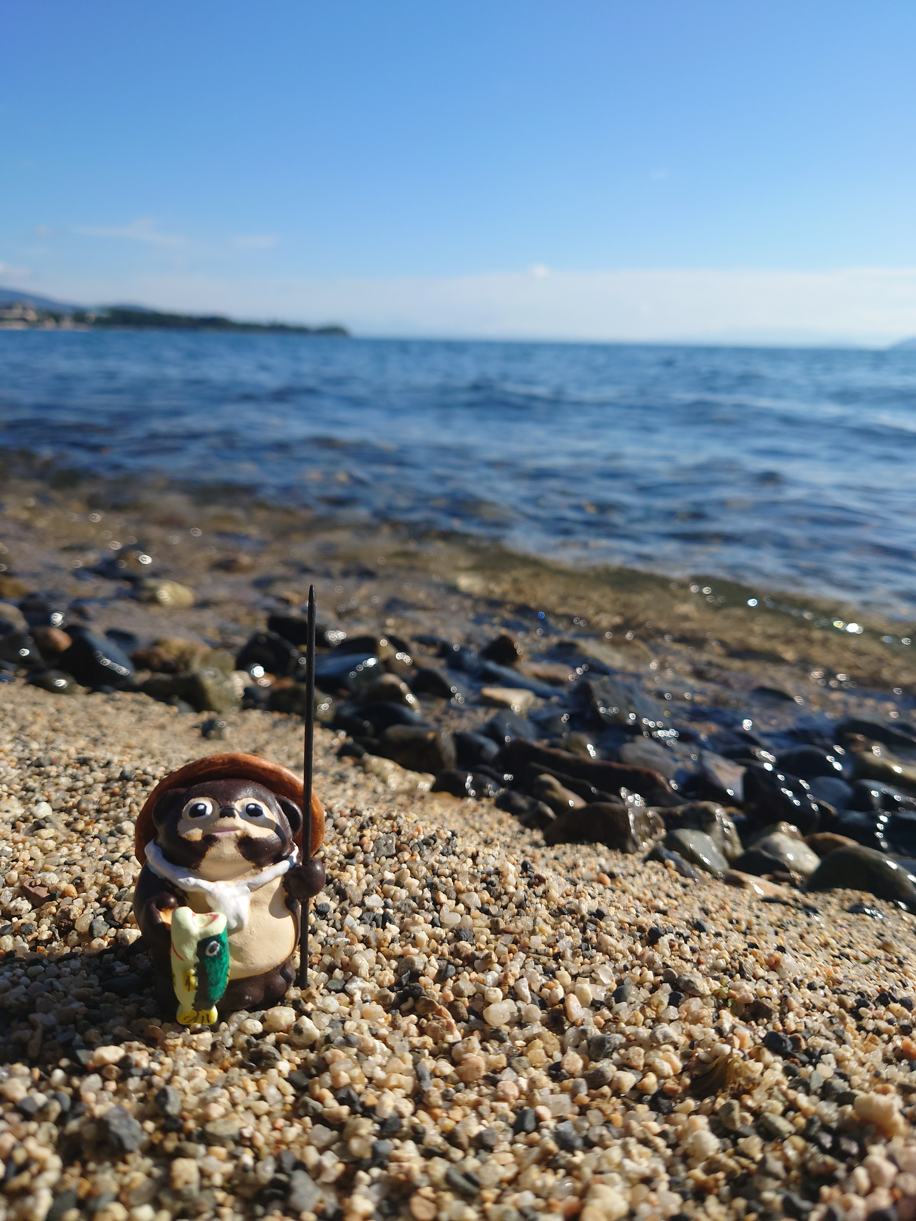 たぬきさん（ナイスフィッシュ！）