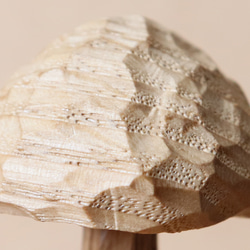 キノコ 木彫り 木製 置物 インテリア雑貨（木材：栗、チェリーなど）（No.T1044） 17枚目の画像