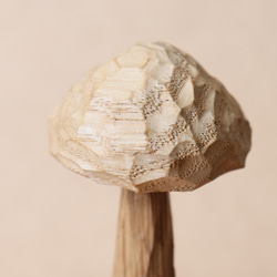 キノコ 木彫り 木製 置物 インテリア雑貨（木材：栗、チェリーなど）（No.T1044） 14枚目の画像