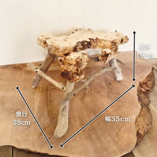 ポプラと流木脚のディスプレイテーブル ｜観葉植物スタンド プランター