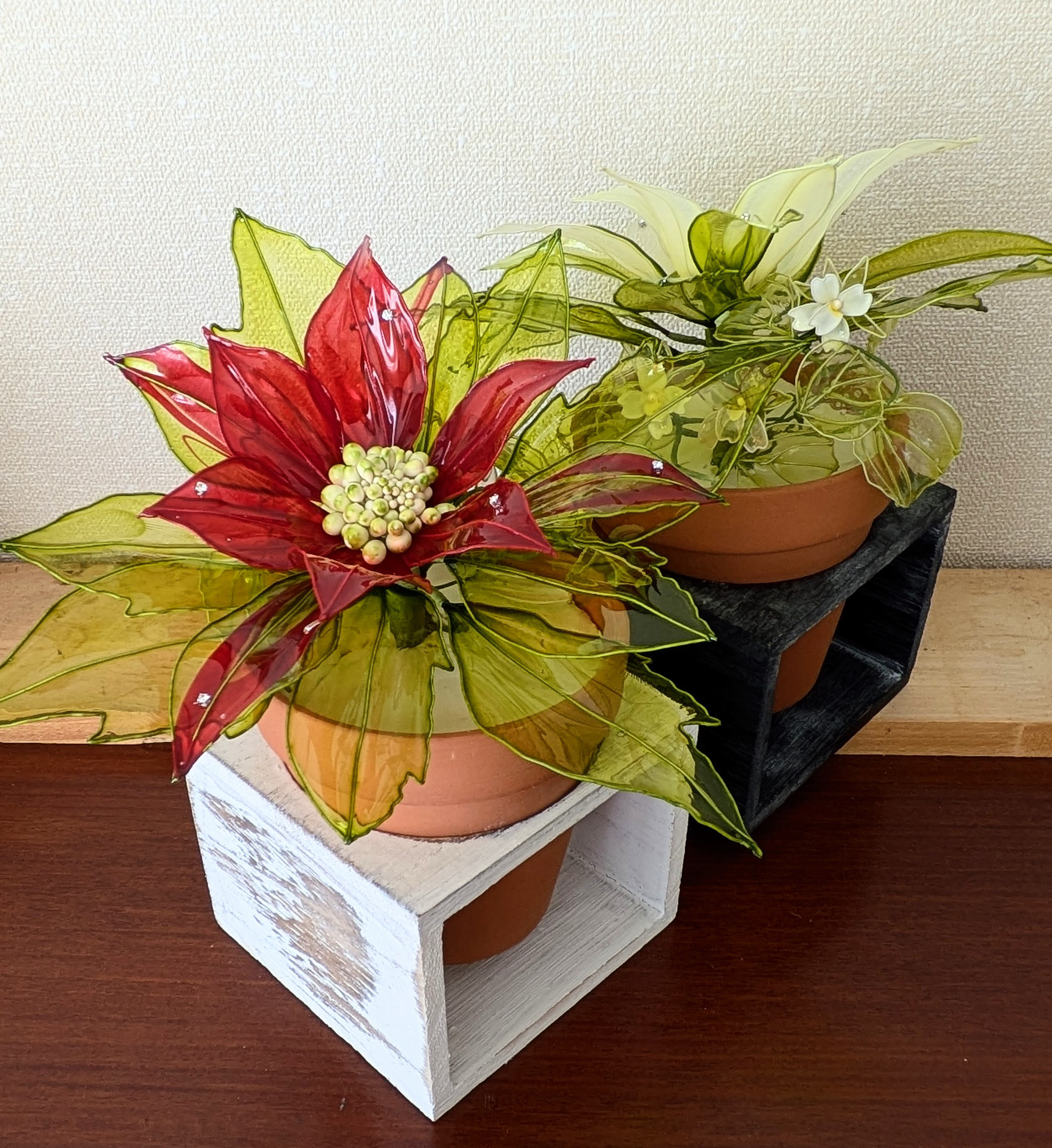 ◇ポインセチア赤、白◇送料無料◇(アメリカンフラワー・ディップ