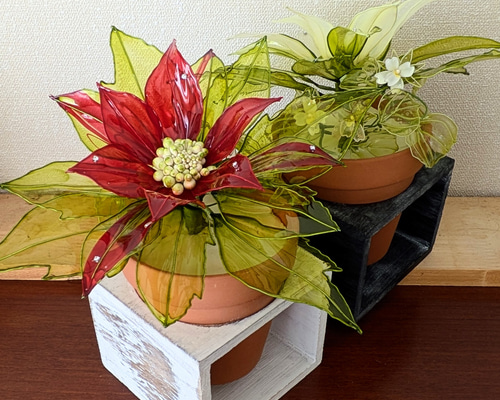 ◇ポインセチア赤、白◇送料無料◇(アメリカンフラワー・ディップ