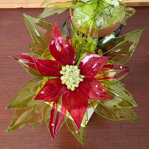 ◇ポインセチア赤、白◇送料無料◇(アメリカンフラワー・ディップ