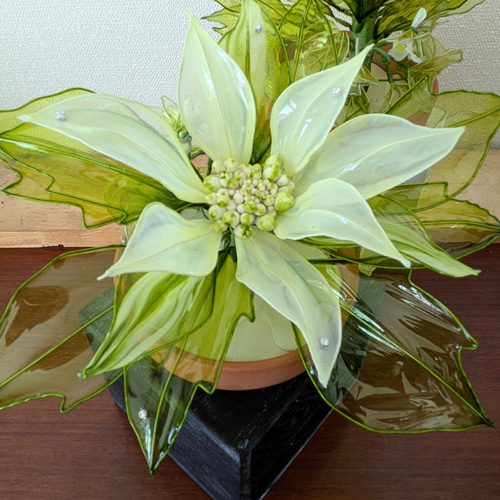 ◇ポインセチア赤、白◇送料無料◇(アメリカンフラワー・ディップ