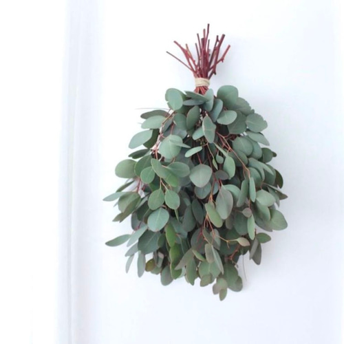 フレッシュユーカリのスワッグ スワッグ Dear kukka 通販 18612590