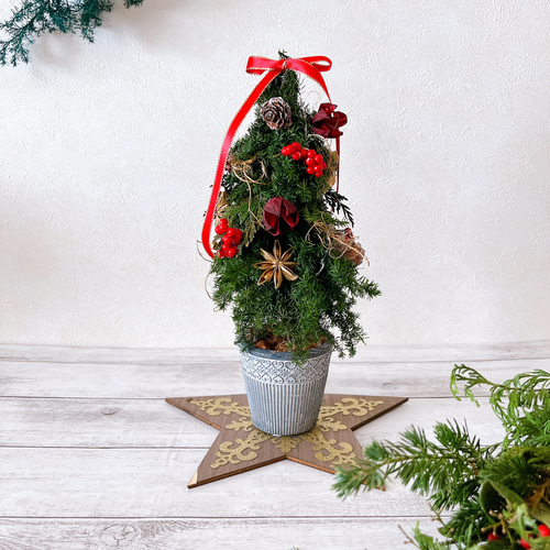 レッドリボンとスパイスのクラシックミニツリー クリスマスツリー