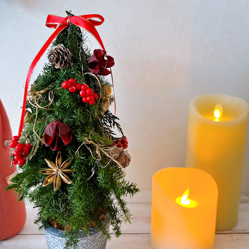 レッドリボンとスパイスのクラシックミニツリー クリスマスツリー