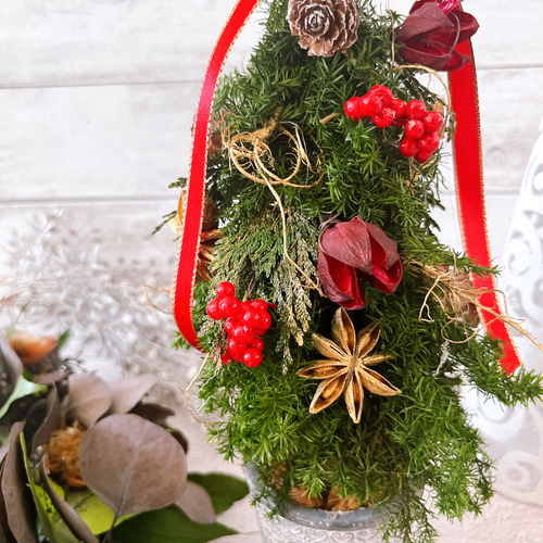 レッドリボンとスパイスのクラシックミニツリー クリスマスツリー