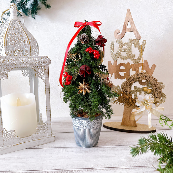 レッドリボンとスパイスのクラシックミニツリー クリスマスツリー