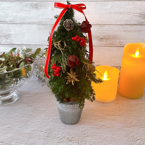 レッドリボンとスパイスのクラシックミニツリー クリスマスツリー