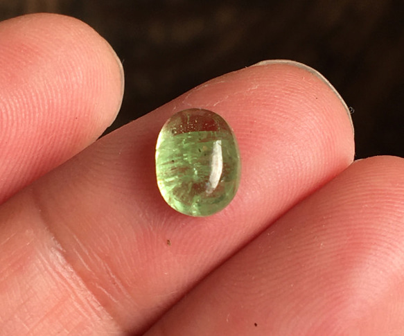  第3張的照片