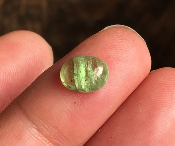  第2張的照片