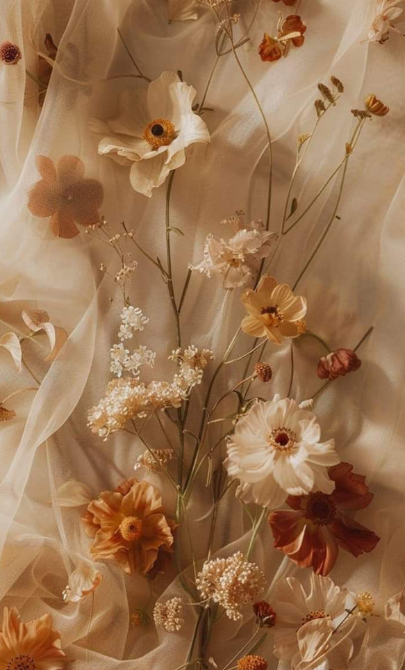 ❁蓮見 様専用ページ❁ 1枚目の画像