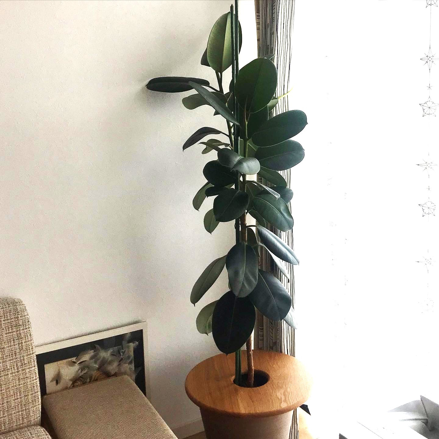 プランターテーブル　サークル　オーク