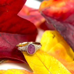 e2b5f511803d791caf0c605a840db8