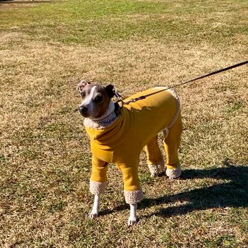 カラフルドットのロンパース① イタグレ服犬服ハンドメイド