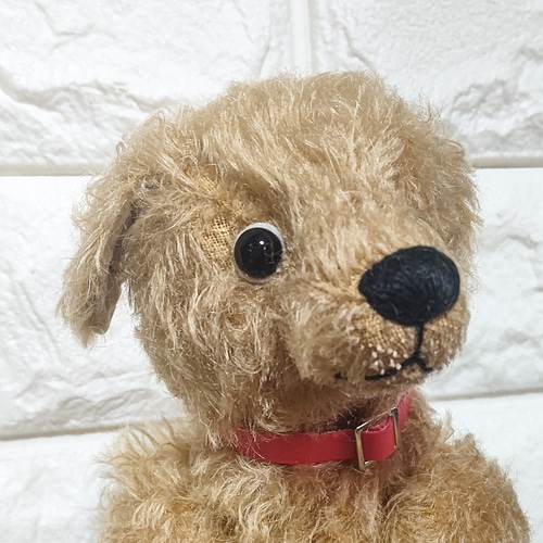 たれ耳わんこ（ベージュ）約24cm／テディベアタイプのトイプードル