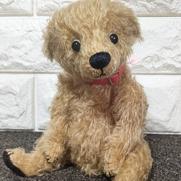たれ耳わんこ（ベージュ）約24cm／テディベアタイプのトイ