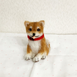 羊毛フェルト柴犬 のおすすめ人気通販 検索結果｜Creema(クリーマ