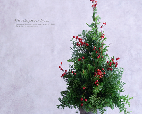 e1b3cdcd1a7e556344e0db92109808