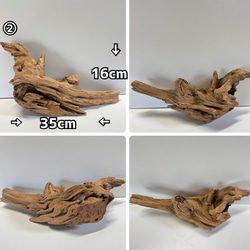松の根っこ 置物 オブジェ 変木 インテリア pine DIY素材 木材・板 森