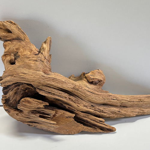 杜松（トショ）　置物　木の根 杜松（トショ） 置物 木の根