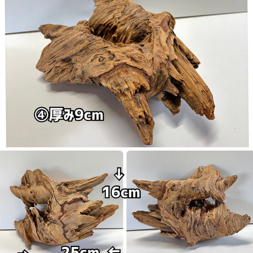 天然木 オブジェクト インテリア オブジェ ウッド 切り株 根っ子 置き物 天然木 オブジェクト インテリア オブジェ ウッド 切り株 根っ子