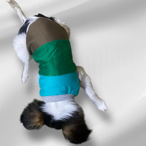 ◾️小型犬服【S】タンクトップ◾️コットン100%◾️みどり系