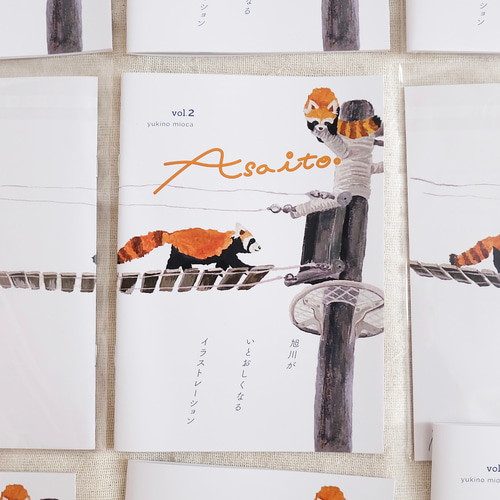 zine Asaito vol.2 旭川がいとおしくなるイラストレーション ZINE