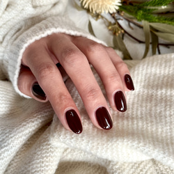 ワンカラーネイルチップ ボルドー ネイルチップ（つけ爪） nail shop