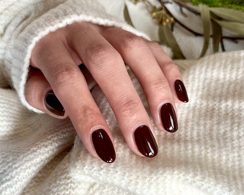 ワンカラーネイルチップ ボルドー ネイルチップ（つけ爪） nail shop