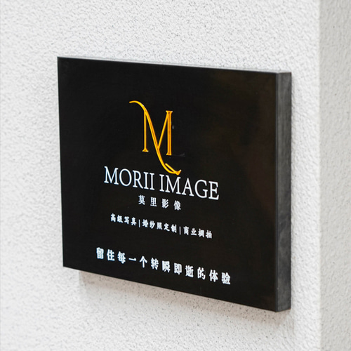 ステンレス製スタジオの高品質な会社看板のオーダーメイド、ロゴの