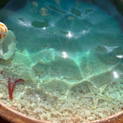 訳あり】浅瀬の小物入れ アカシアボウル レジン 波紋 砂紋 水面