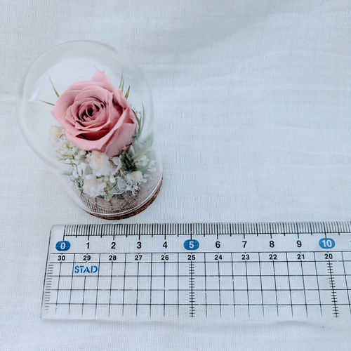 プリザーブドフラワー／ミニガラスドーム セピアピンクローズの
